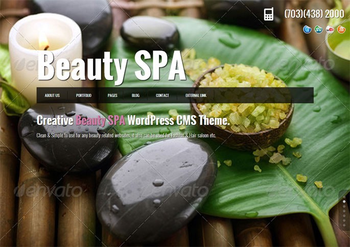 Best Sapa Salon Wordpress Themes