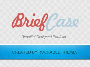 Briefcase-Pro-Portfolio