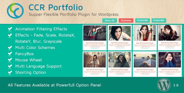 CCR-WordPress-Portfolio-Plugin-Multipurpose-Use