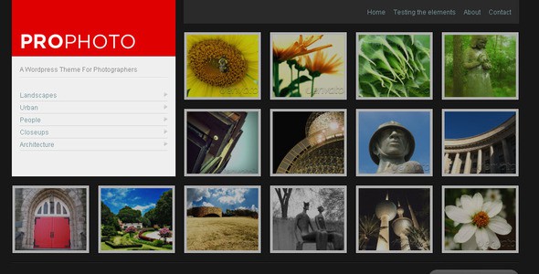 WP-ProPhoto-A-Wordpress-Theme-For-Photographers