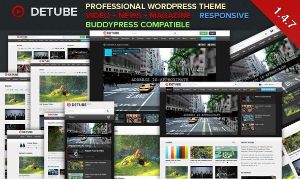 detube professional video wordpress theme