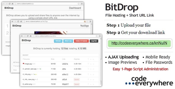BitDrop-File-Hosting-with-Short-URL-Link