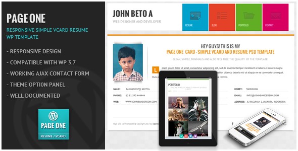 Page-One-Responsive-Vcard-CV-Resume-WP-Theme