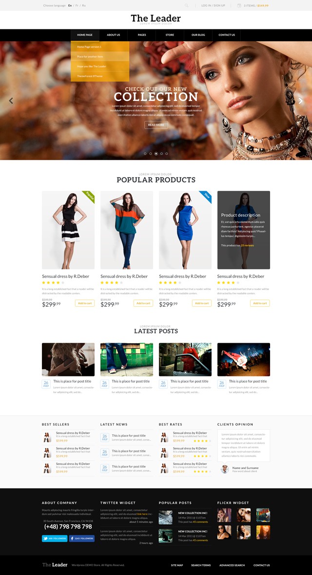 the-leader-ecommerce-theme1